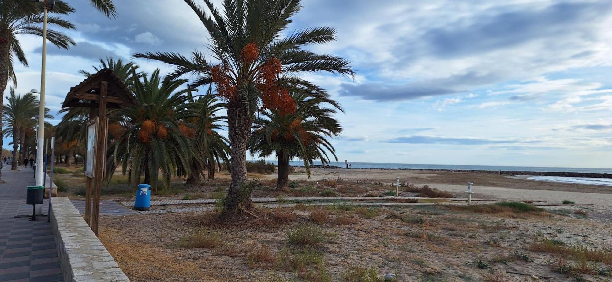 Vacaciones En El Mar Apartment Puerto de Sagunto